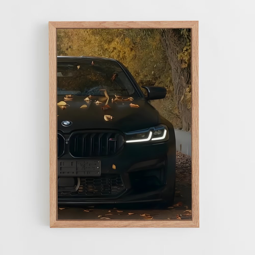 Poster M7 Prototype Performance – affiche BMW (vue 4)